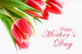 happy mother's day text sign on pink tulips on white rustic wooden background. greeting card concept. sensual tender women image.