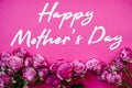 Happy mothers day text sign. Small pink roses on pink background. Greeting card with flowers concept. Holiday greeting card. Royalty Free Stock Photo