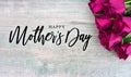 Happy Mother`s Day Typography with Colorful Pink Roses in Corner Royalty Free Stock Photo