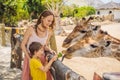 Happy mother and son watching and feeding giraffe in zoo. Happy family having fun with animals safari park on warm Royalty Free Stock Photo