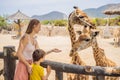 Happy mother and son watching and feeding giraffe in zoo. Happy family having fun with animals safari park on warm Royalty Free Stock Photo