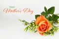 Happy Mothers Day card. Beautiful rose on grey background