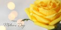 Happy Mothers Day card with a close up of a yellow rose Royalty Free Stock Photo