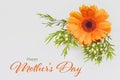 Happy Mothers Day card. Gerbera daisy on grey background