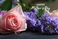 Happy Mothers Day. Mothers day card and greeting concept with text message on background of pink rose and purple daisy flowers.