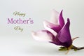 Happy Mothers Day card with magnolia flower on wooden background Royalty Free Stock Photo