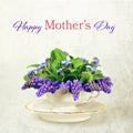 Happy Mothers Day card. Spring flowers on grunge background Royalty Free Stock Photo