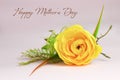 Happy Mothers Day card. Yellow artificial rose on pink background Royalty Free Stock Photo