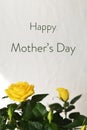 Happy Mothers Day card with yellow roses Royalty Free Stock Photo