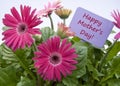 Happy Mothers Day with Flowers Royalty Free Stock Photo