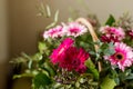 Happy Mothers Day gift of Spring Flowers on blurred background.Basket with beautiful bright flowers. Mothers day Royalty Free Stock Photo