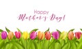 Happy Mothers Day lettering. Mothers day greeting card with Blooming Tulip Flowers. Vector illustration EPS10 Royalty Free Stock Photo