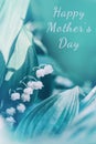 Happy Mothers Day. Holiday card with greeting text. Beautiful white blooming lily of the valley flowers with green leaves. Macro Royalty Free Stock Photo