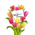 Happy Mothers Day lettering. Mothers day greeting card with Blooming Tulip Flowers. Vector illustration EPS10 Royalty Free Stock Photo