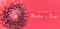 Happy Mothers`s Day! and pink dahlia flower details macro photo as border frame with wide banner background and message text