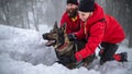 Happy mountain rescue service with dog on operation outdoors in winter in forest, digging snow. Royalty Free Stock Photo