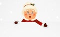 Happy Mrs. Claus cartoon character standing behind a blank sign, showing on big blank sign with falling snow. Cute