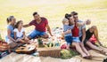 Happy multiracial families taking selfie at pic nic garden party - Multicultural joy and love concept with mixed race people Royalty Free Stock Photo