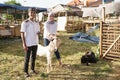 Muslim couple buy a goat for eid adha sacrifice or idul qurban