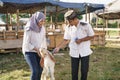Muslim couple buy a goat for eid adha sacrifice or idul qurban