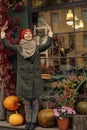 Happy and mysterious woman in red hat choosing pumpking on the background of vegetable shop with pumpkins. full-length photo