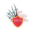 Happy nails and hair peeking out from under the red shield that says Keratin. Beauty and care. Hand drawn cartoon design