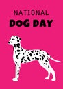 Happy national Dog day greeting card vector design. Dalmatin dog on pink background. Royalty Free Stock Photo