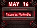 16 May, National Sea Monkey Day, Neon Text Effect on bricks Background Royalty Free Stock Photo