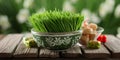 Happy Navruz holiday background. Green grass semeni and baklava. Navruz background with holiday symbols