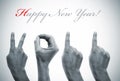 Happy new year 2011