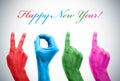 Happy new year 2011