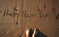 Happy New Year! Royalty Free Stock Photo