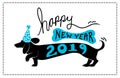 Happy New Year 2019 background design with cute fun dachshund doxie dog wearing blue party hat with bone pattern and 2019 typograp