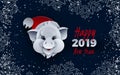 Happy new year banner, pig head in santa hat, animal symbol of 2019, congratulation text. Dark background, snowflakes for banner Royalty Free Stock Photo