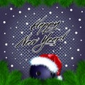 Happy New year. Bowling ball in a santa hat Royalty Free Stock Photo