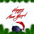 Happy New year. Bowling ball in a santa hat Royalty Free Stock Photo