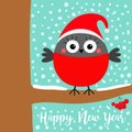 Happy New Year. Bullfinch winter bird on rowan rowanberry sorb berry tree branch. Red Santa hat. Merry Christmas. Candy cane. Cute Royalty Free Stock Photo