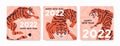 Happy New Year cards designs with tiger, Chinese zodiac symbol of 2022. Square holiday postcards set with oriental wild