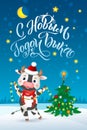 Happy New Year Cartoon Cows Character. Russian Greeting Card. Cow celebrating the 2021. New Year of Ox. Bull Cartoon