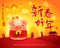 Happy New Year 2019. Chinese New Year. The year of the pig