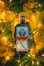 Happy new year or christmas background with Jagermeister alcohol drink, elixir. autumn grass and yellow leaves