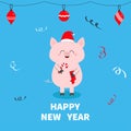 Happy New Year. Christmas ball toys. Pig holding candy cane, sock. Red Santa Claus hat. Cute funny cartoon character. Flat design. Royalty Free Stock Photo