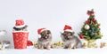 Happy New Year, Christmas, Dog in Santa Claus hat, Celebration balls and other decoration Royalty Free Stock Photo