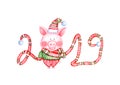 2019 Happy New Year and Christmas illustration with watercolor funny pig Royalty Free Stock Photo