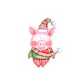 2019 Happy New Year and Christmas illustration with watercolor funny pig Royalty Free Stock Photo