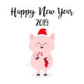 Happy New Year 2019. Christmas. Pig holding candy cane, sock. Red Santa Claus hat. Cute funny cartoon character. Flat design. Whit Royalty Free Stock Photo