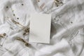 Happy New Year composition. Blank greeting card mockup scene. Champagne glasses with golden confetti stars. White