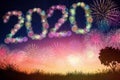 new year 2020 concepts with fireworks background