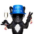 Happy new year dog Royalty Free Stock Photo