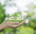 Happy new year 2021 ecological cover concept Royalty Free Stock Photo